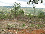 Twin Palms Estate, Clarendon, Jamaica - Residential lot for Sale